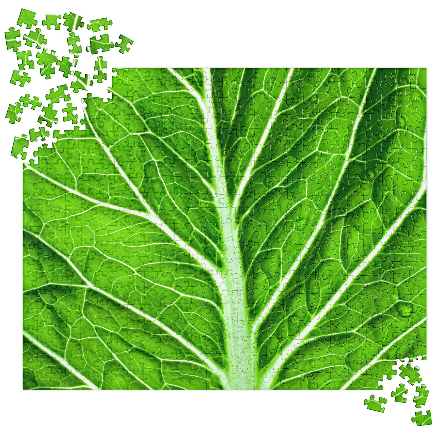Leaf Jigsaw puzzle
