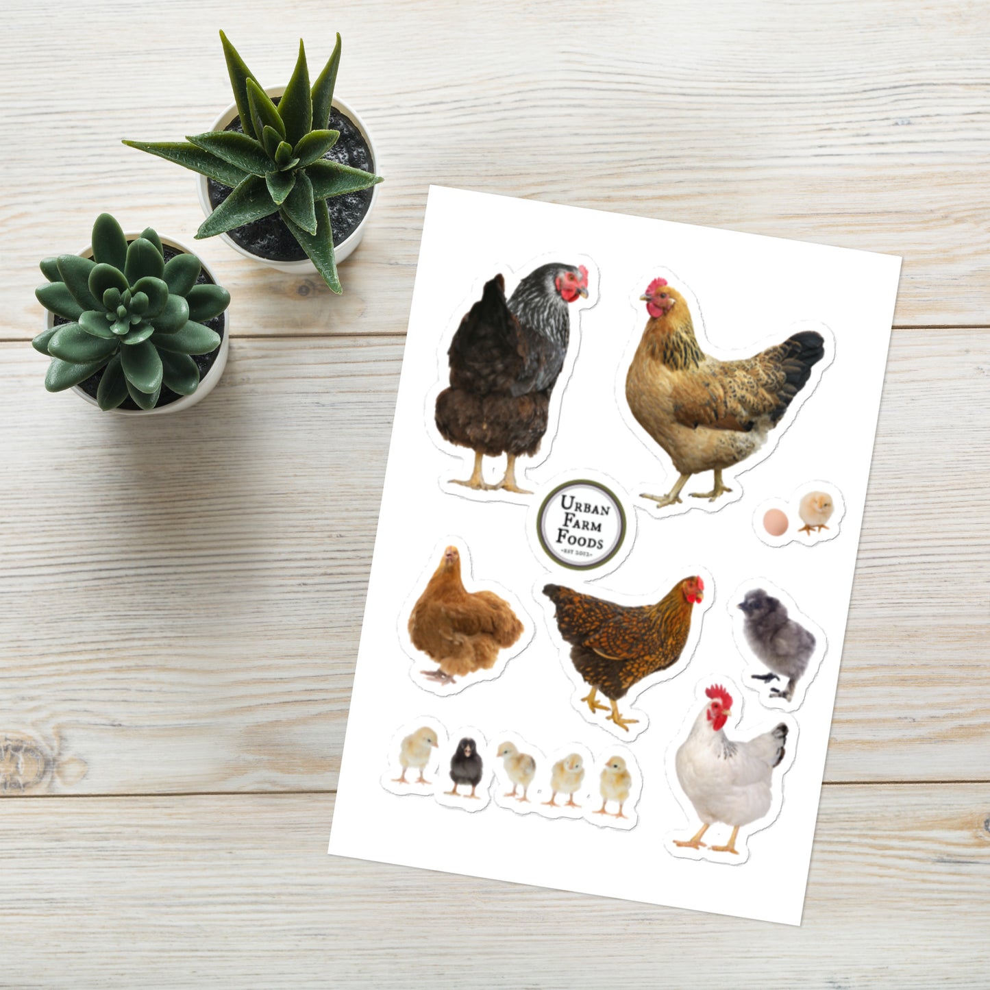 Chicken Stickers