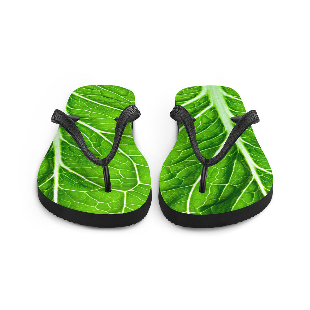 Lettuce Flip Flops