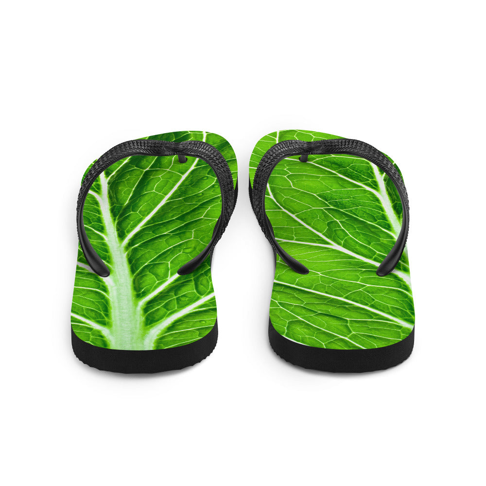 Lettuce Flip Flops