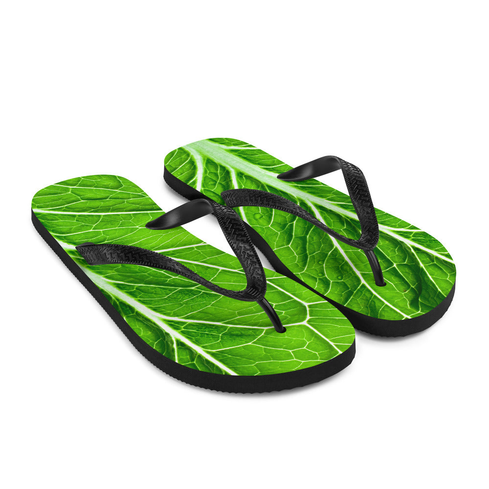 Lettuce Flip Flops